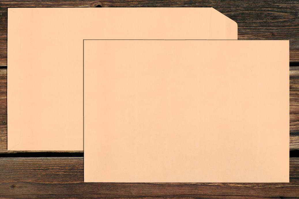 Versandtaschen 220x312 mm Nassklebend Aprikose 120 g/qm